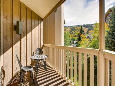 Mountain Views Lionshead Ski Rental Two Bedroom Ski Condo